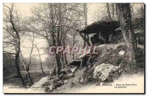 Cartes postales Dolmen Menhir Nantes Bois du Petit Port