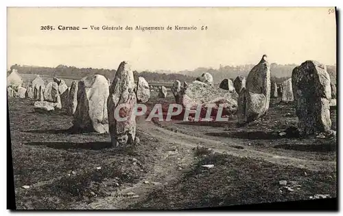 Ansichtskarte AK Dolmen Menhir Carnac Vue generale des alignements de Kermario