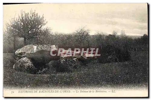 Ansichtskarte AK Dolmen Menhir Environs de Bagnoles de l&#39Orne Le dolmen de la Bertiniere