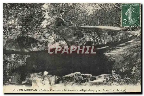 Ansichtskarte AK Dolmen Menhir En Morvan Dolmen Chevresse Monument druidique