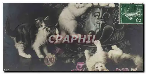 Cartes postales Chat Chats Chaton