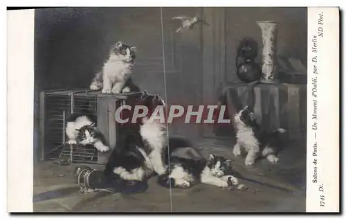 Cartes postales Chat Chats Chaton Salons de Paris Un moment d&#39obli Oiseau