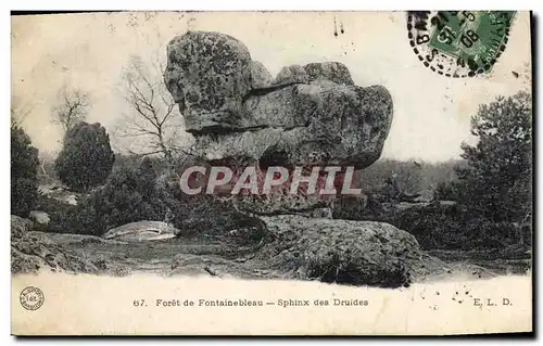 Ansichtskarte AK Dolmen Menhir Foret de Fontainebleau Sphinx des druides