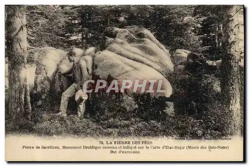 Cartes postales Dolmen Menhir La pierre des fees Pierre de sacrifice Monument druidique Monts des Bois Noirs