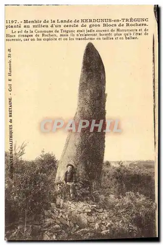 Ansichtskarte AK Dolmen Menhir de la lande de Kerdunus en Tregunc