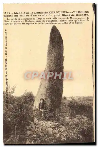 Cartes postales Dolmen Menhir de la lande de Kerdunus en Tregunc