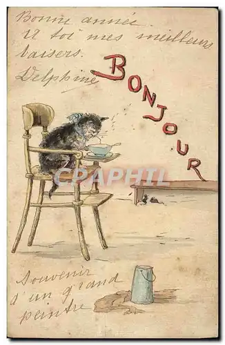 Cartes postales Chat Chats Chaton