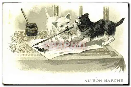 Cartes postales Chat Chats Chaton Au Bon Marche Maison Boucicaut Paris