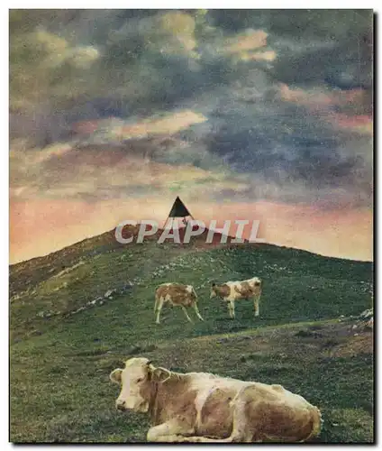 Cartes postales Sommet du Suchet Vaches