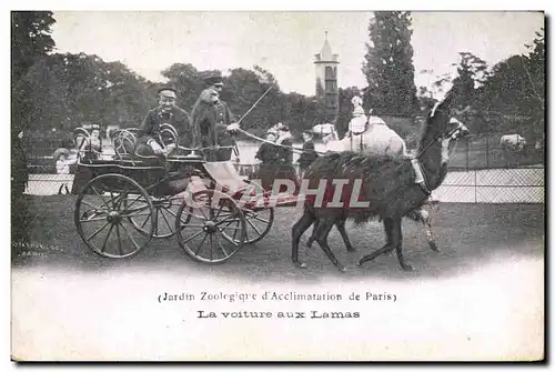 Cartes postales Jardin zoologique d&#39acclimation de Paris La voiture aux Lamas Singe