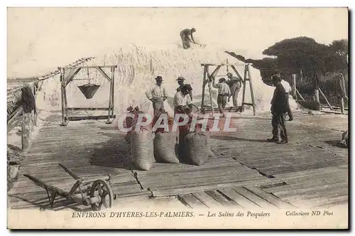 Ansichtskarte AK Environs d&#39Hyeres les Palmiers Les Salins des Pesquiers TOP