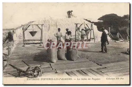 Cartes postales Environs d&#39Hyeres les Palmiers Les Salins des Pesquiers TOP