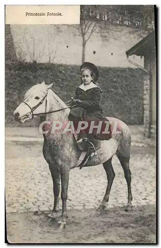 Cartes postales Prinzessin Antonia Cheval