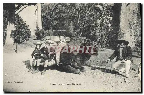 Cartes postales Promenade au desert Chameau