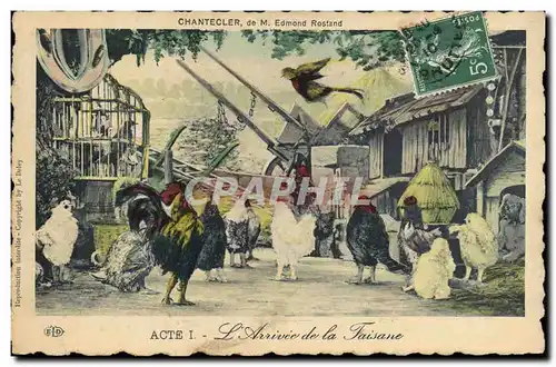 Cartes postales Edmond Rostand Chantecler L&#39arrivee de la faisane