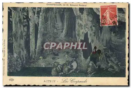 Cartes postales Edmond Rostand Chantecler Les crapauds Grenouille