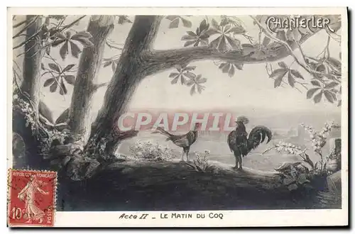 Cartes postales Edmond Rostand Chantecler Le amtin du coq