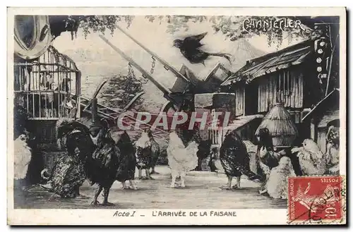 Cartes postales Edmond Rostand Chantecler L&#39arrivee de la faisane