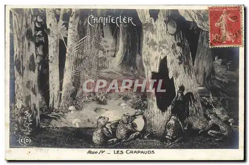 Cartes postales Edmond Rostand Chantecler Les crapauds Grenouille