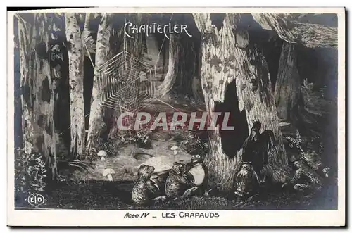 Cartes postales Edmond Rostand Chantecler Les crapauds Grenouille