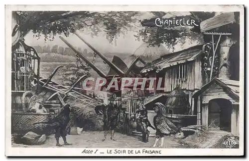 Cartes postales Edmond Rostand Chantecler Le soir de la faisane