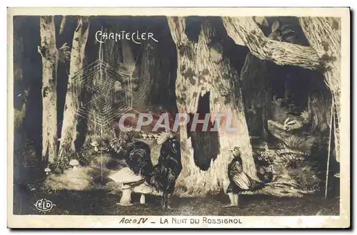Cartes postales Edmond Rostand Chantecler La nuit au Rossignol Champignon