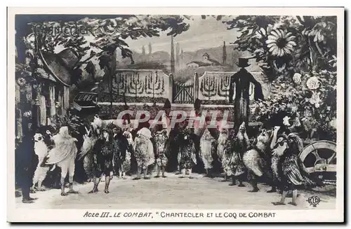 Cartes postales Edmond Rostand Chantecler et le coq de combat