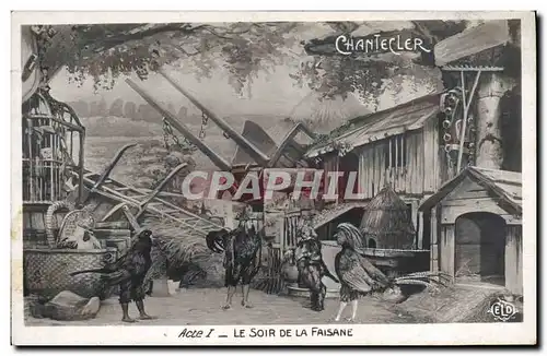 Cartes postales Edmond Rostand Chantecler le soir de la faisane