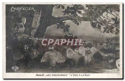 Cartes postales Edmond Rostand Chantecler Les nocturnes L&#39ode a la nuit