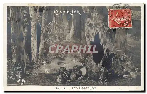 Cartes postales Edmond Rostand Chantecler Les crapauds Grenouille