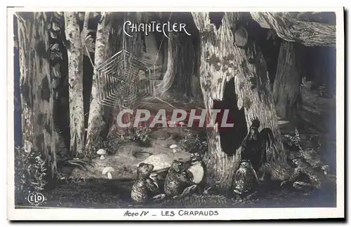 Cartes postales Edmond Rostand Chantecler Les crapauds Grenouille