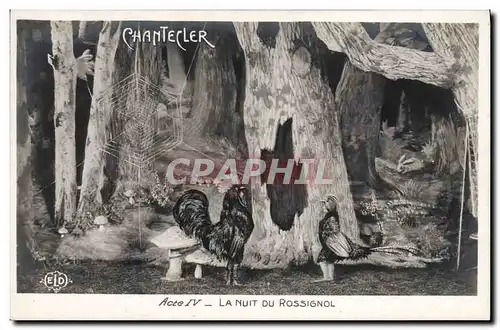 Cartes postales Edmond Rostand Chantecler La nuit du rossignol