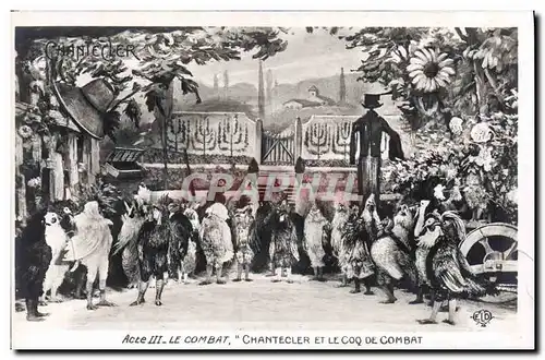 Ansichtskarte AK Edmond Rostand Chantecler et le coq de combat