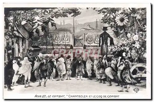 Cartes postales Edmond Rostand Chantecler et le coq de combat