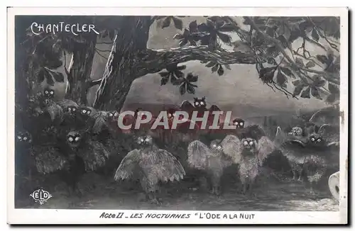 Cartes postales Edmond Rostand Chantecler Les nocturnes L&#39ode a la nuit Chouette Hibou