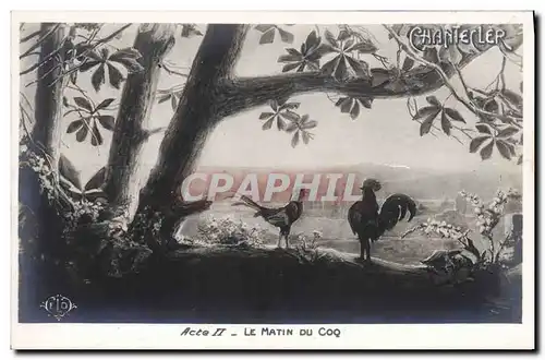 Cartes postales Edmond Rostand Chantecler Le matin au coq