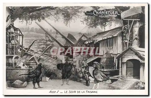 Cartes postales Edmond Rostand Chantecler Le soir de la faisane