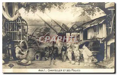 Cartes postales Edmond Rostand Chantecler et ses poules