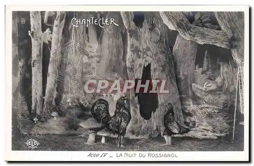 Ansichtskarte AK Edmond Rostand Chantecler La nuit du rossignol Champignon