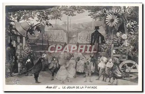 Cartes postales Edmond Rostand Chantecler Le jour de la pintade