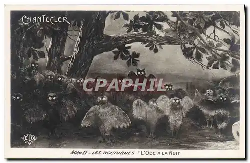 Cartes postales Edmond Rostand Chantecler Les nocturnes L&#39ode a la nuit Hubou Chouette