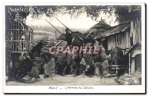 Cartes postales Edmond Rostand Chantecler L&#39hymne au soleil