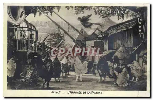 Cartes postales Edmond Rostand Chantecler L&#39arrivee de la faisane