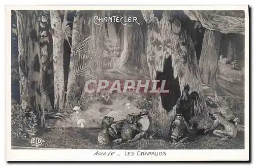 Ansichtskarte AK Edmond Rostand Chantecler Les crapauds Grenouille