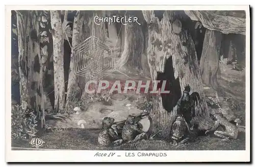 Cartes postales Edmond Rostand Chantecler Les crapauds Grenouille