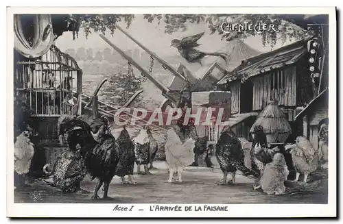 Cartes postales Edmond Rostand Chantecler L&#39arrivee de la faisane