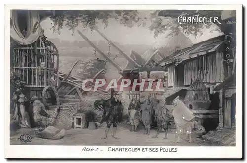 Cartes postales Edmond Rostand Chantecler et ses poules