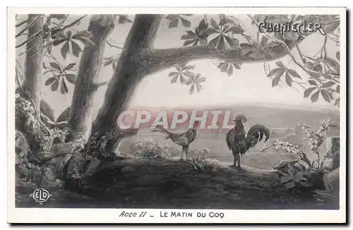 Cartes postales Edmond Rostand Chantecler Le matin du coq