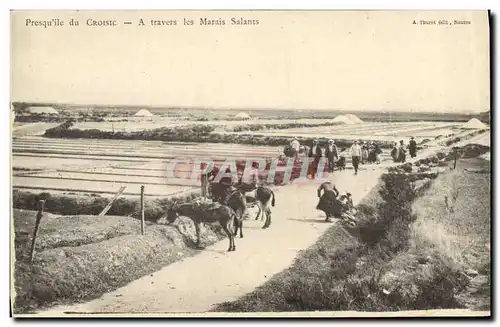 Ansichtskarte AK Folklore Marais Salants Presqu&#39ile de Croisic A travers les marais salants Mule Ane