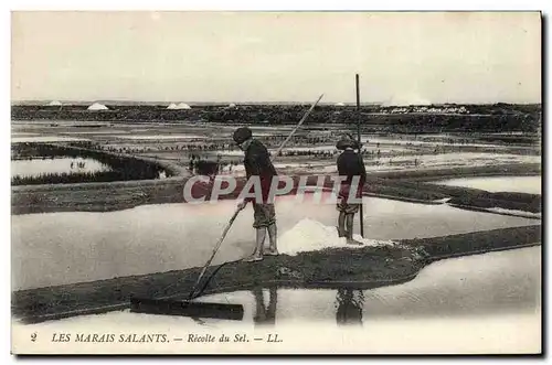 Ansichtskarte AK Folklore Marais Salants Recolte du sel